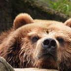 Foto des Monats Juli 2024