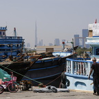 Auswahlbild zum Foto des Monats August