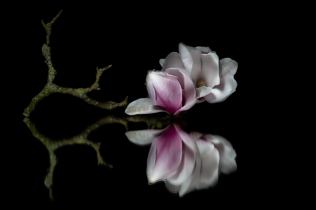 Auswahlbild Foto des Monats