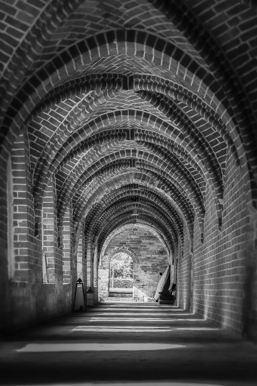 Auswahlbild Foto des Monats