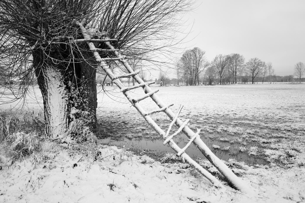 003Auswahl für Foto des Monats Jan