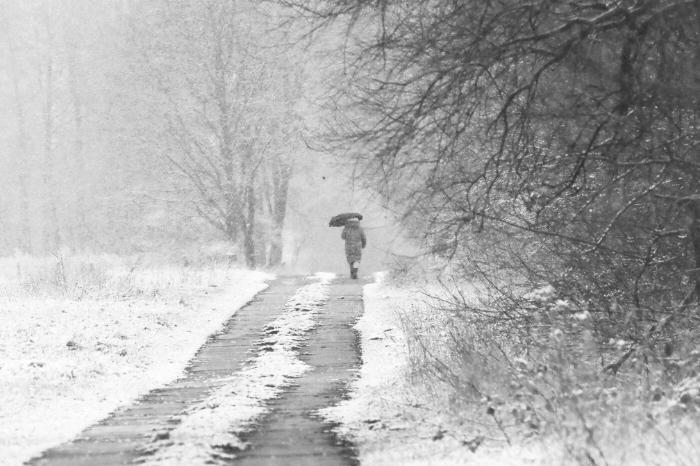 FOTO DES MONATS JANUAR