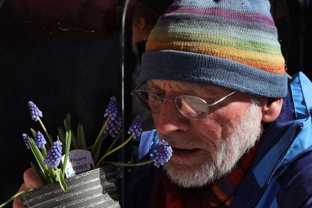 Frühblüher genießen