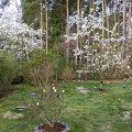 Ostern