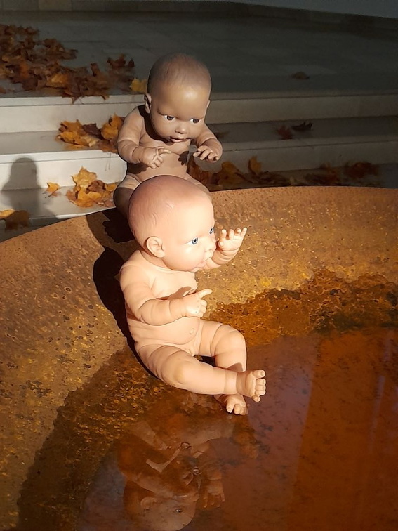 Auswahlfoto des Monats Mai 2025