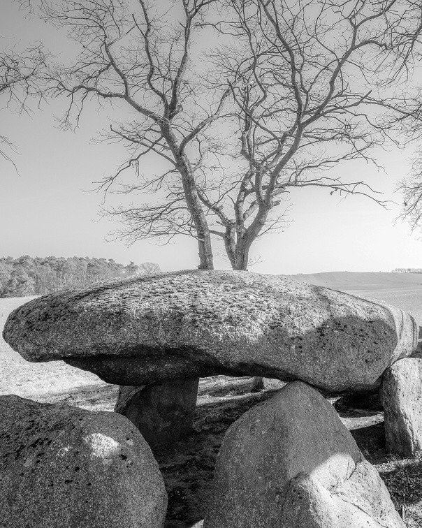 Auswahl zum Foto des Monats Juni 2025