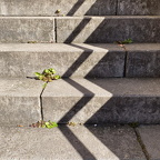 FOTO DES MONATS JULI 2025