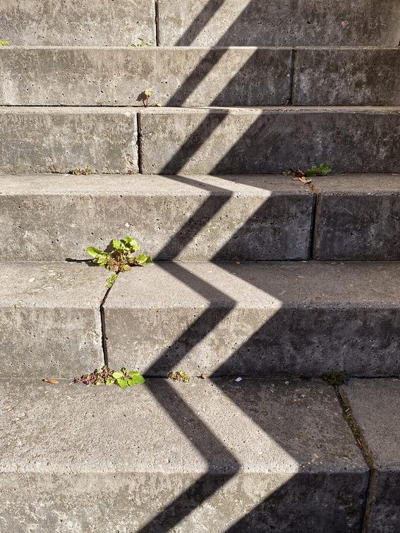 FOTO DES MONATS JULI 2025