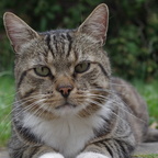 Auswahl Foto des Monats August 2025