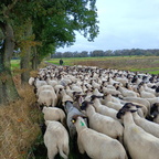 FOTO DES MONATS AUGUST 2025