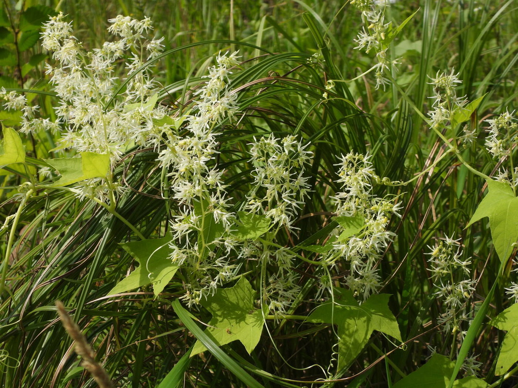 Auswahl zum Foto des Monats September 2025