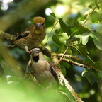 FOTO DES MONATS SEPTEMBER 2025