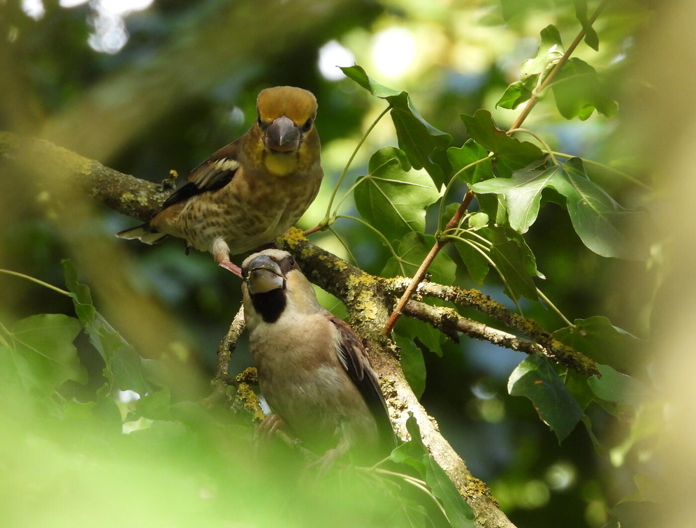 FOTO DES MONATS SEPTEMBER 2025