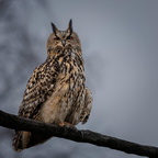 Auswahl zum Foto des Monats November