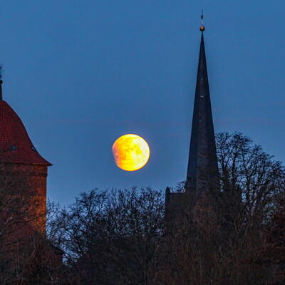 Auswahl Foto des Monats Dezember