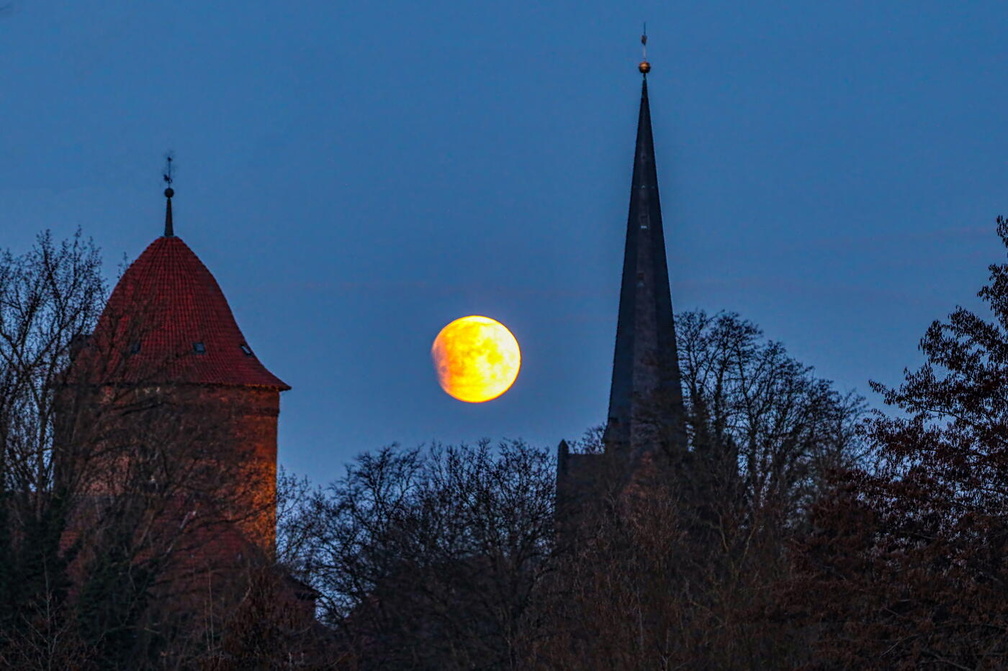 mrda IMG 9936 cr part MoFi a