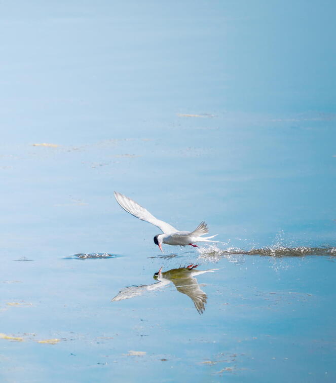 Auswahl Foto des Monats 01.2026