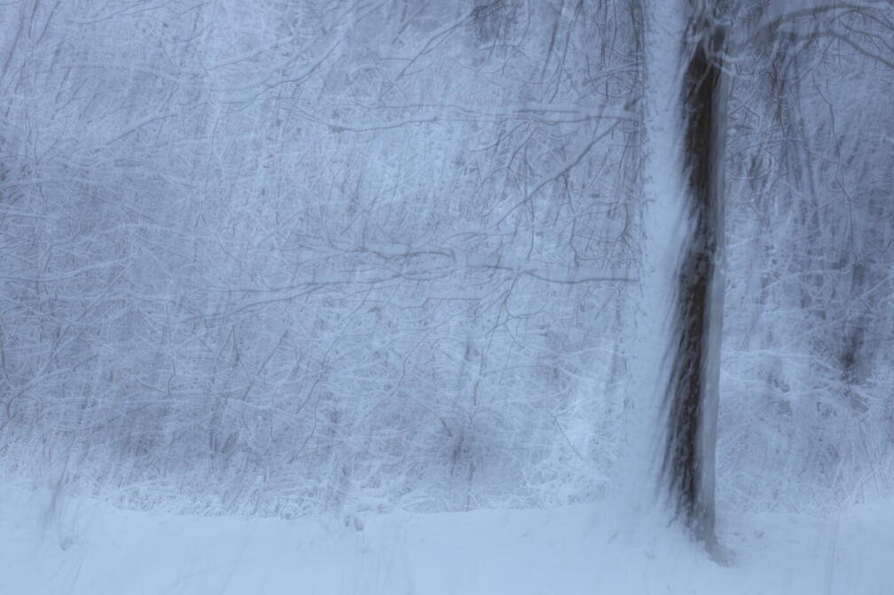 Winterimpressionen 3