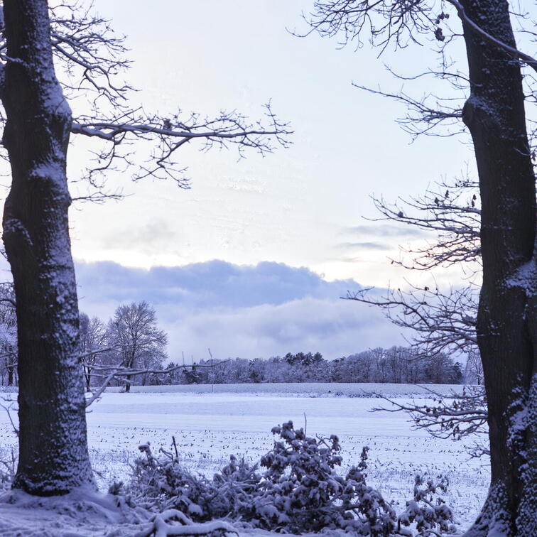 Winterimpressionen 1