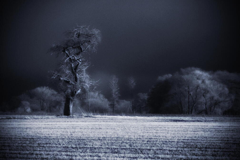 (Auswahl Foto des Monats 3/26)Infrarot Landschaft März 