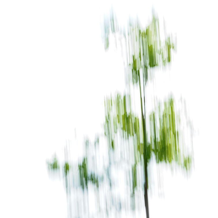 ICM Y5210066 Kopie