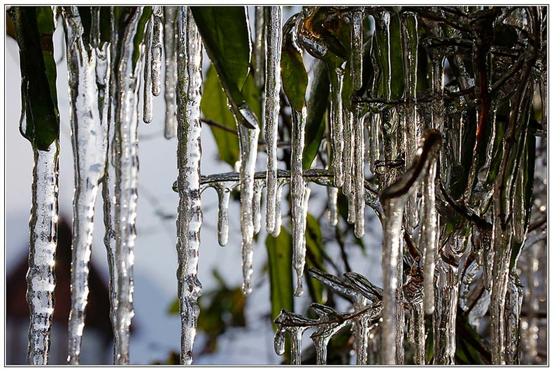 bild des monats 2012 01 fhalw