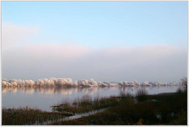 bild des monats 2021 02 gwun