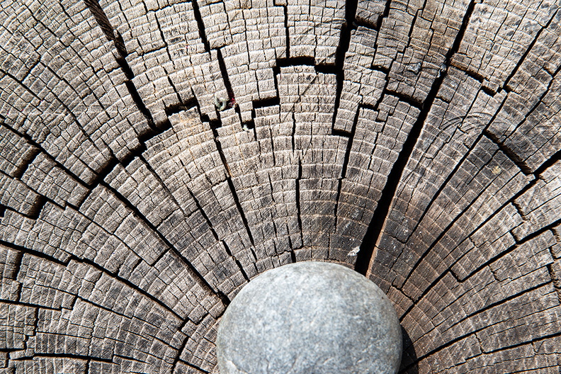 Baumscheiben-Labyrinth