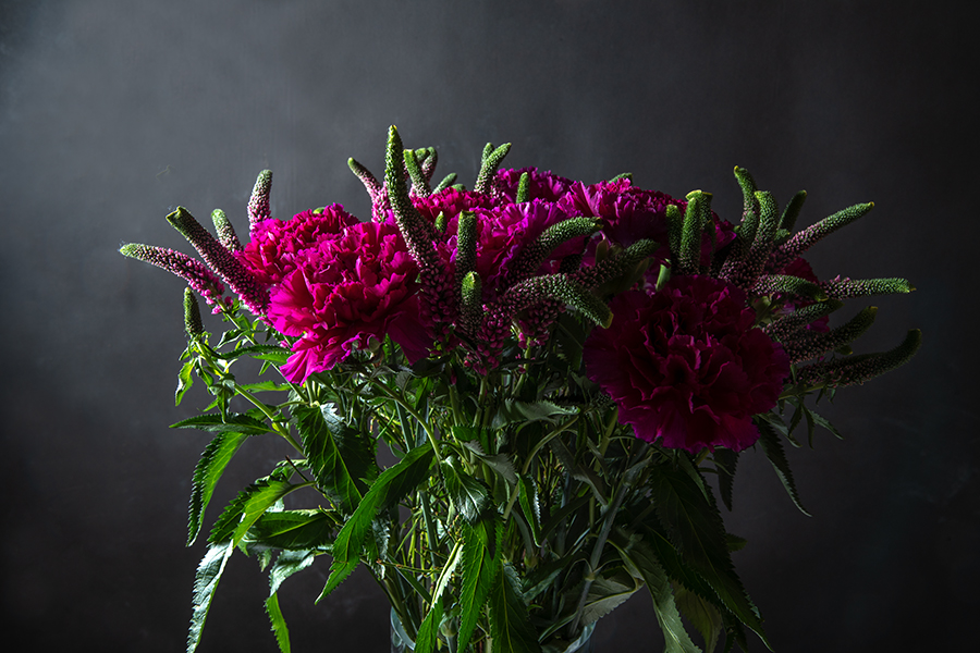 Auswahl: Foto des Monats März 2023