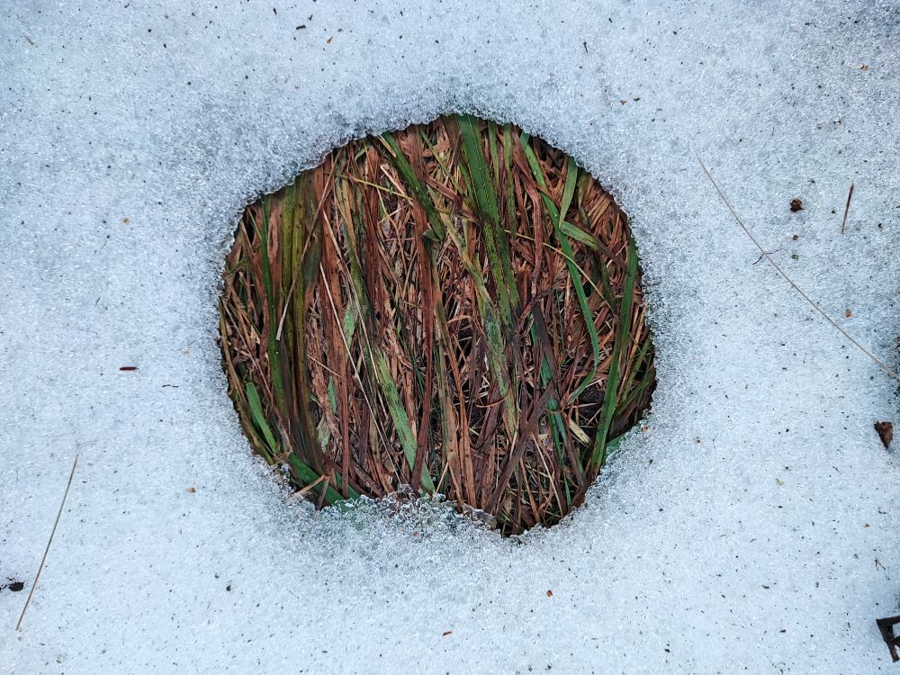 rhen Kreis im Schnee